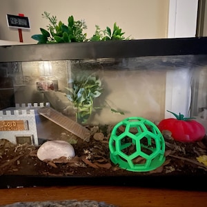 Madison added a photo of their purchase