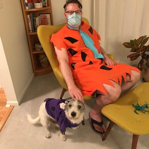 Dino Flintstones dog costume Dino flintstones costume for | Etsy