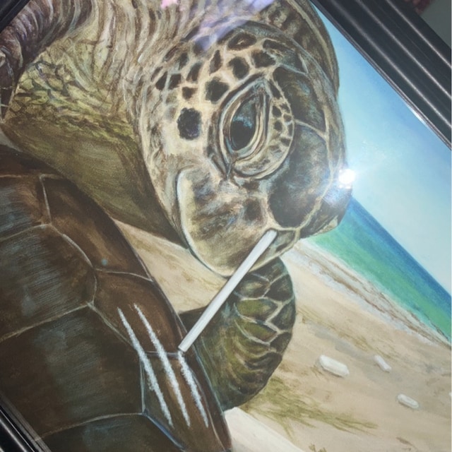 Sea Turtle Snorting Cocaine With a Straw. the Reason You Have to Recycle  Plastic Straws. Artist Signed Print. Handmade 