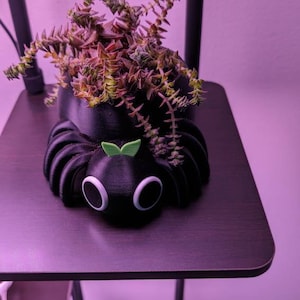 B added a photo of their purchase