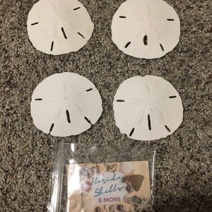 Amanda added a photo of their purchase