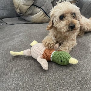 Kathleen added a photo of their purchase
