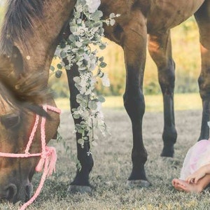 Hillerie added a photo of their purchase