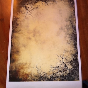 Cheshire added a photo of their purchase