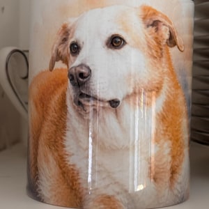 lee added a photo of their purchase