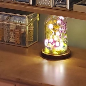 Hiba ha aggiunto una foto del proprio acquisto
