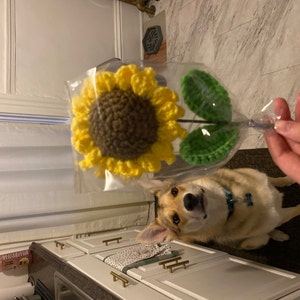 Anna a ajouté une photo de son achat