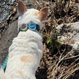 Barbara added a photo of their purchase