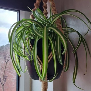 Laura added a photo of their purchase