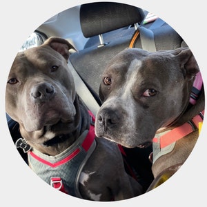 Tina added a photo of their purchase