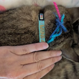 Jenna added a photo of their purchase