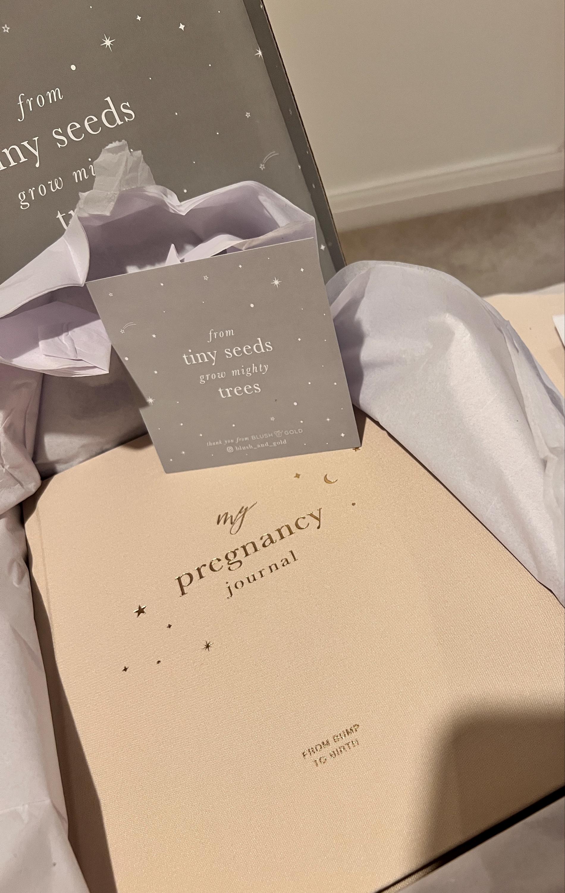 My Pregnancy Journal, Expectant Mother Gift, Pregnancy Planner - Pearl - gift for parents to be, pregnancy record book w/gilded edges