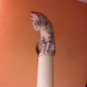 Ixquic added a photo of their purchase