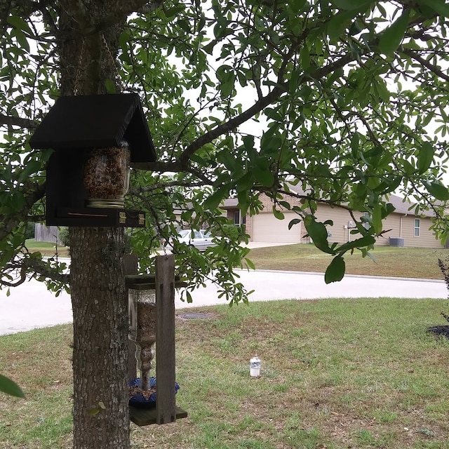 I put a connected bird feeder in my yard 😱 