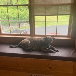 Kelly added a photo of their purchase