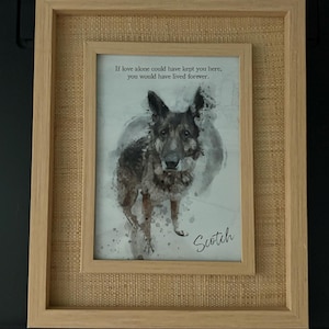 Lauren added a photo of their purchase