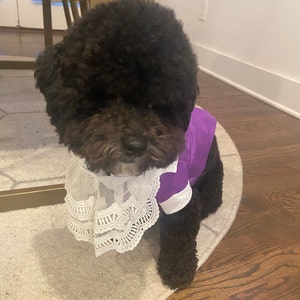 Kristen added a photo of their purchase