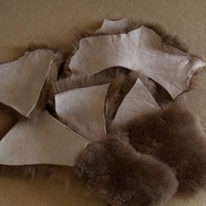 Lena added a photo of their purchase