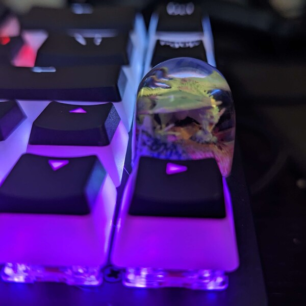 Handmade Dragon Artisan SA and DOM Keycap for MX Keyboard, Dragon ...
