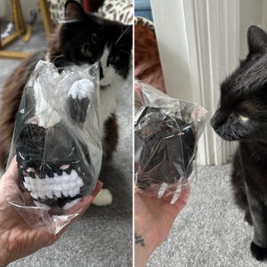 Zoë added a photo of their purchase