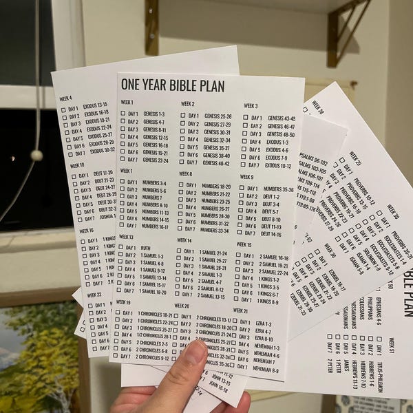 One Year Bible Plan 2026 Bible Reading Plan Printable Start to Finish 1 ...