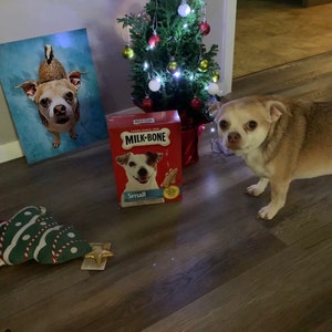 Emily added a photo of their purchase