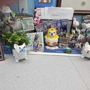 Tilly added a photo of their purchase