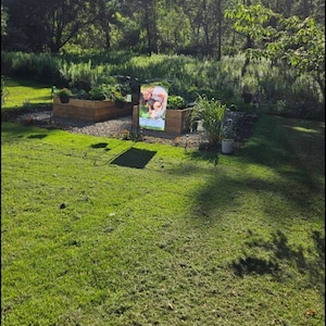 Frankie adicionaram uma foto da sua compra