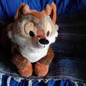 Amy ha añadido una foto de su compra