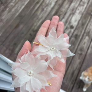 Amanda added a photo of their purchase