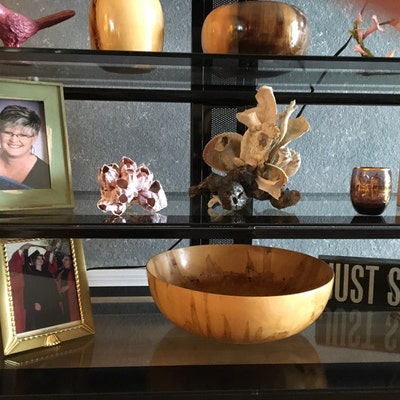 Conch Sea Shell Garden Quality 68 Conch Shell Imperfect Conch Sea Shell ...