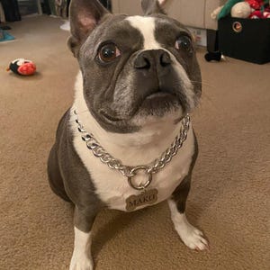 Collana In Rame Per Cani - Catena A Serpente Resistente Per Addestramento - Foto 6