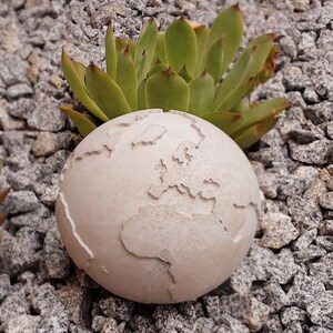 Doris hat ein Foto des gekauften Artikels hinzugefügt