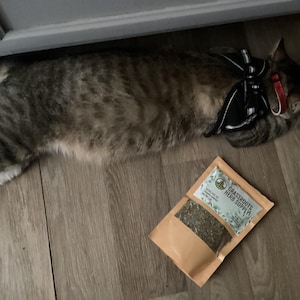 Skinny added a photo of their purchase