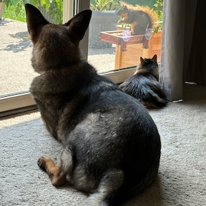 Jill added a photo of their purchase