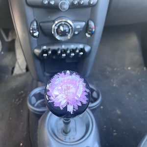 Ezra added a photo of their purchase