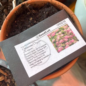 Laci ha añadido una foto de su compra