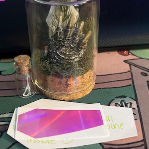 Angelina added a photo of their purchase