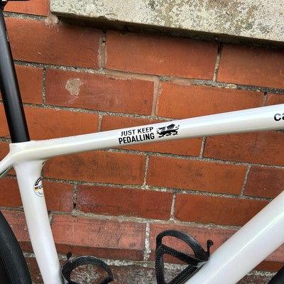 Dog Groomers Vet Pet Open Closed Hanging Sign, Shop Window/door 120mm X ...