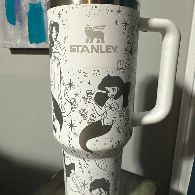 Bicchiere da 40 once del Magical Princess Stanley Adventure