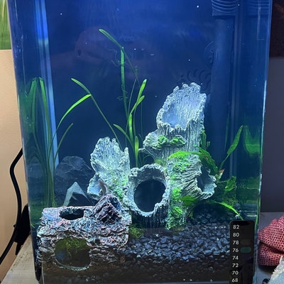 Malaysian Driftwood Hardscape - Planted Tanks | Glass Aqua Malaysian Driftwood Hardscape - Planted Tanks | Glass Aqua