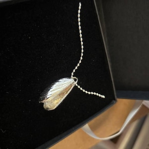 Paula added a photo of their purchase