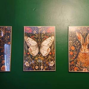 Caroline さんが購入した商品の写真を追加しました