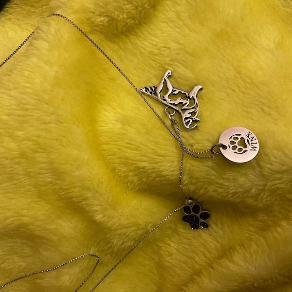 Rainbow Bridge Dog Necklace Loss of Dog Cat Memorial Jewelry Cat Dog ...