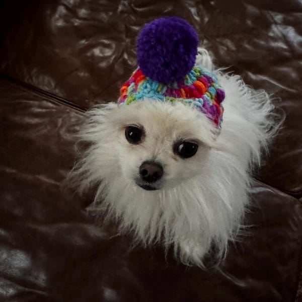 Crochet Dog Hat Pattern PDF | Small Puppy Hat | Hua Headwarmer | Pet ...