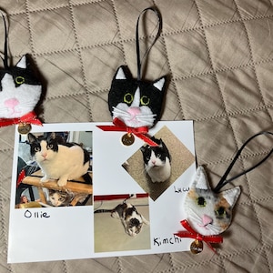 Carole added a photo of their purchase