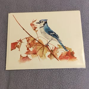Keri a ajouté une photo de son achat