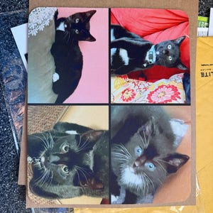 adriana added a photo of their purchase