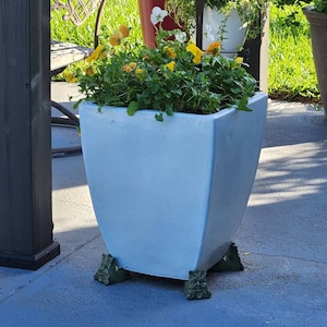 Janet added a photo of their purchase