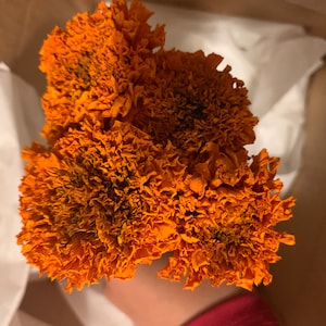 Kiya a ajouté une photo de son achat